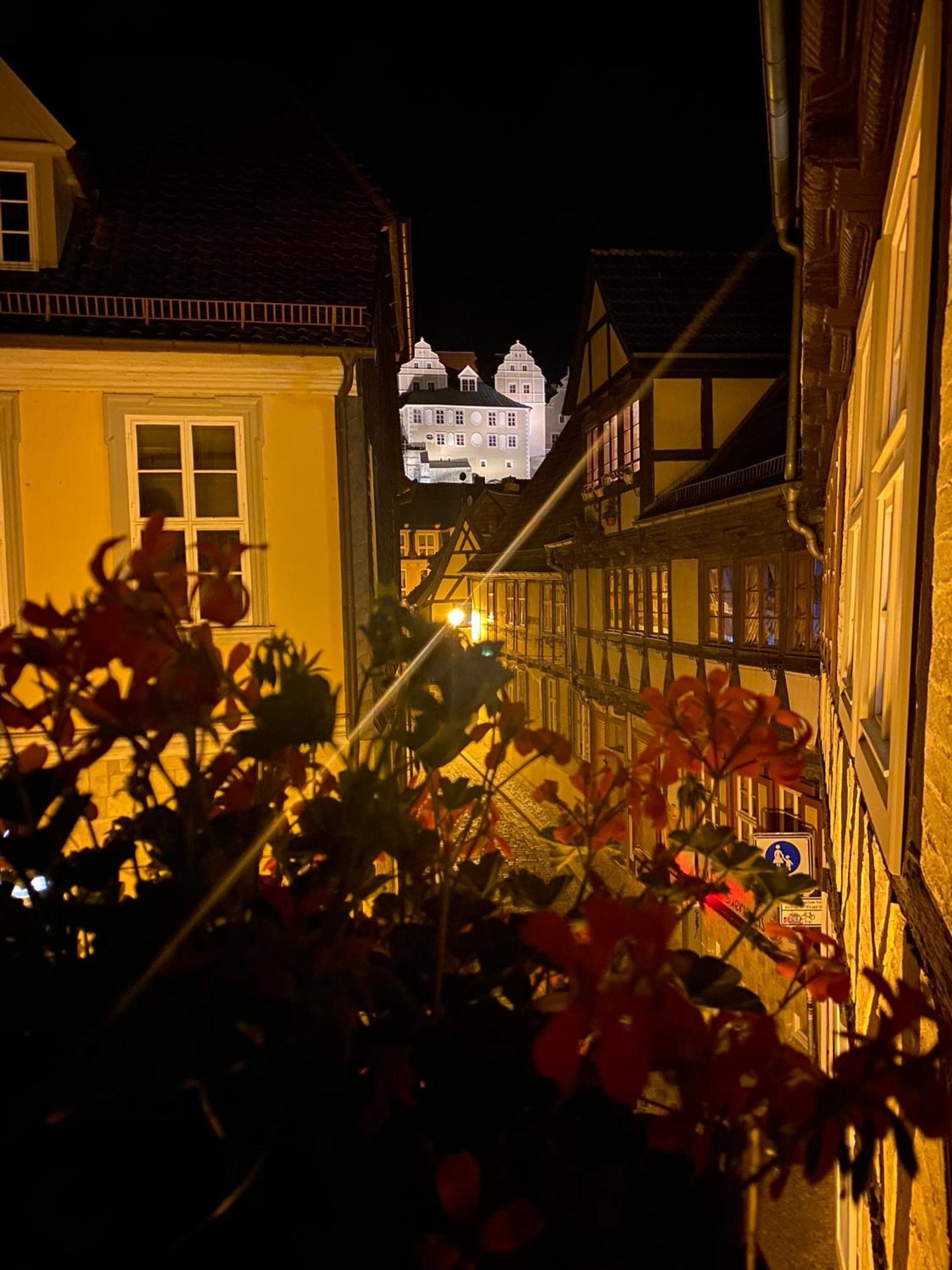 Anneliese Im Einzeldenkmal - Lange Gasse 29 Apartment